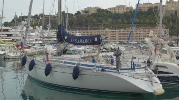 Barcos Porto — Vídeo de Stock