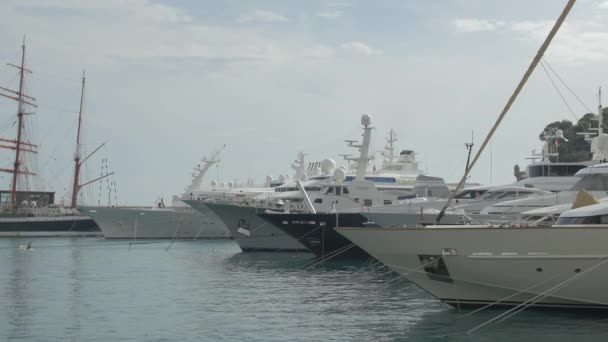 Barcos Anclados Puerto — Vídeo de stock