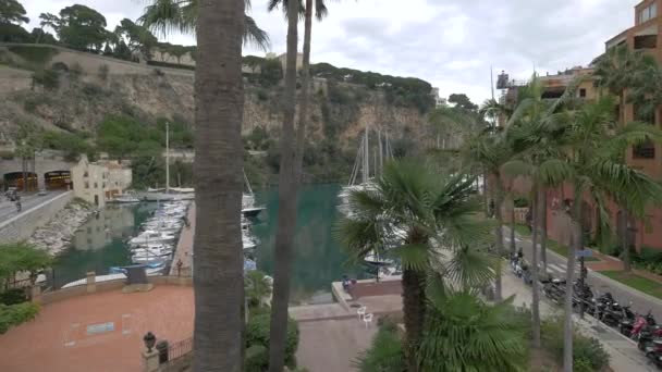 Alto Ángulo Palmeras Port Fontvieille Mónaco — Vídeos de Stock