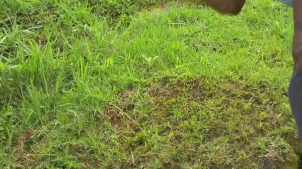 Africano Homem Grooming Plantas Com Foice — Vídeo de Stock