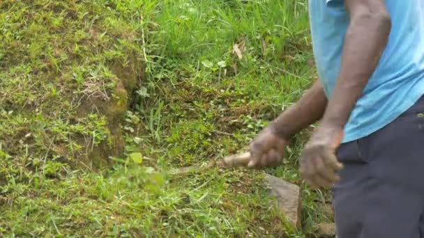 Afrikansk Mann Dyrker Planter Med Sigd – stockvideo