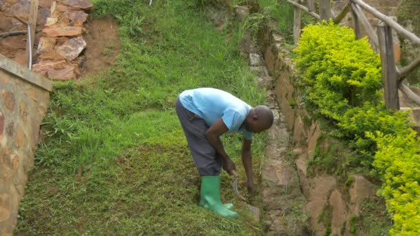 非洲男人在塑造一个绿地 — 图库视频影像