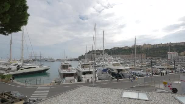 Порт Геркулес Монако — стоковое видео