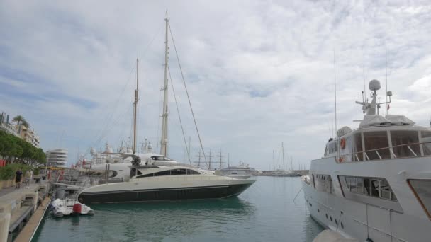 Bateaux Ancrés Dans Port Hercules Monaco — Video