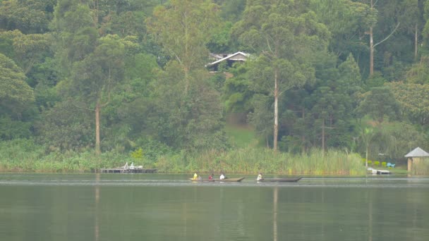 Bateaux Rames Flottant Sur Lac — Video