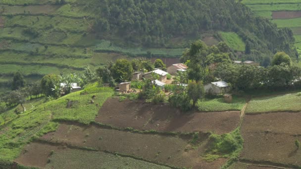 Small Houses Hill Uganda — Stockvideo