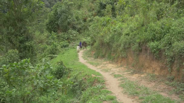 Children Running Back Forth Road Uganda — Stockvideo