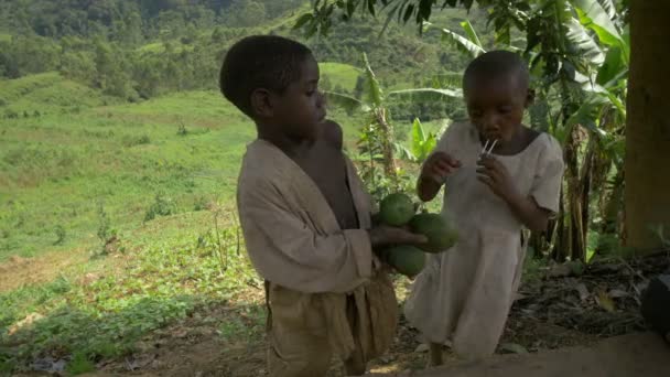 Afrikanske Barn Med Mango – stockvideo