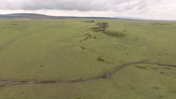 Aerial View Masai Mara — Stock Video