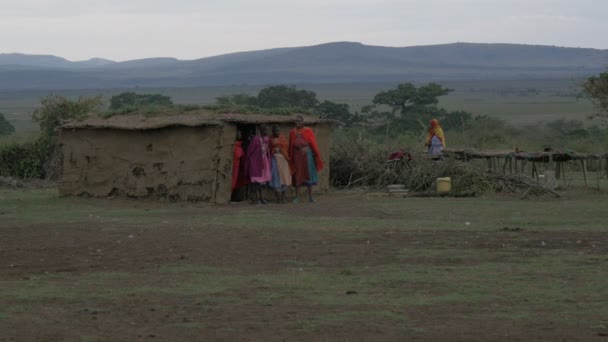 Massai Frauen Einem Dorf — Stockvideo