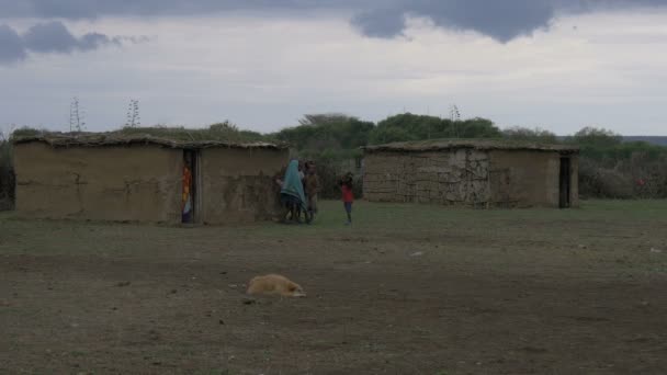 Дети Два Дома Деревне Масаи — стоковое видео