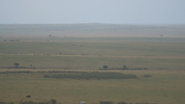 Masai Mara Otlaklarının Sol Görüşü — Stok video