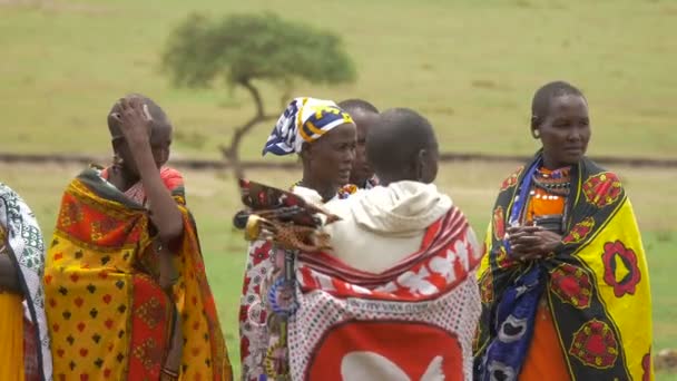 Maasai Mulheres Vestindo Roupas Tradicionais — Vídeo de Stock