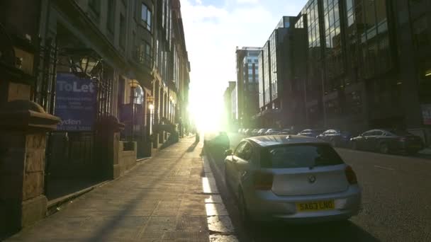 Güneşli Bir Caddede Park Etmiş Arabalar — Stok video