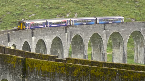 Comboio Estacionado Numa Ponte Ferroviária — Vídeo de Stock