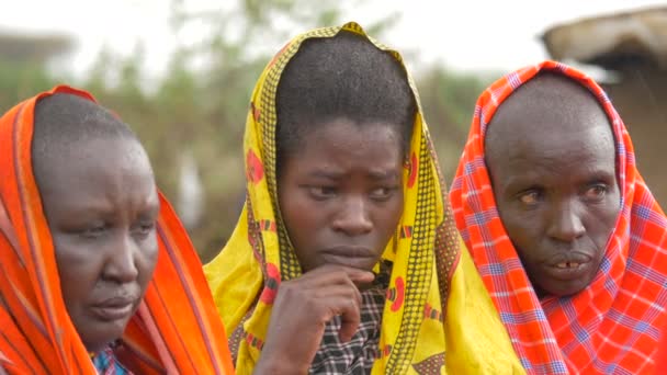 Three Maasai Women Wearing Kerchiefs — Stock Video