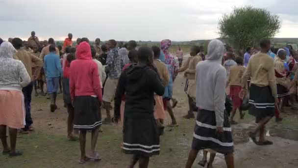 Maasai Kinderen Wandelen Het Dorp — Stockvideo