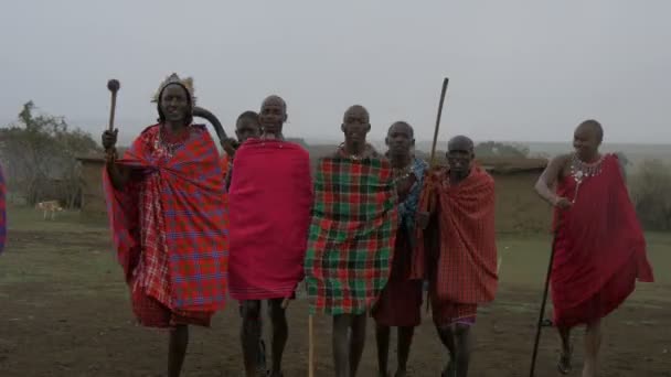Hombres Masai Vestidos Con Ropa Tradicional Bailando — Vídeos de Stock