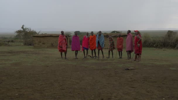 Guerreros Masai Saltando Sobre Hierba Verde — Vídeos de Stock