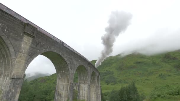 高架橋を走る蒸気機関車 — ストック動画