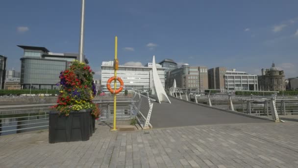 Bloempotten Bij Een Voetgangersbrug — Stockvideo