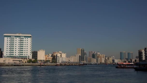 迪拜小河上有鸟和船 — 图库视频影像
