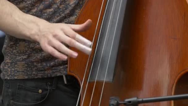 Bermain Double Bass — Stok Video