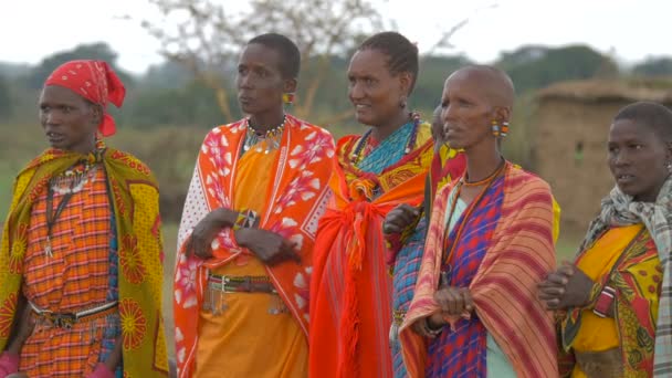 Masaï Femmes Afrique Gros Plan — Video