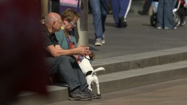 Una Pareja Ancianos Con Perro — Vídeos de Stock