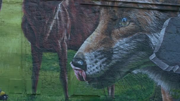 Ein Fuchs Wandbild Glasgow — Stockvideo