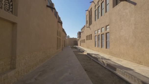 巷子里的石头建筑 — 图库视频影像