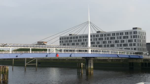 Río Que Fluye Bajo Puente — Vídeos de Stock