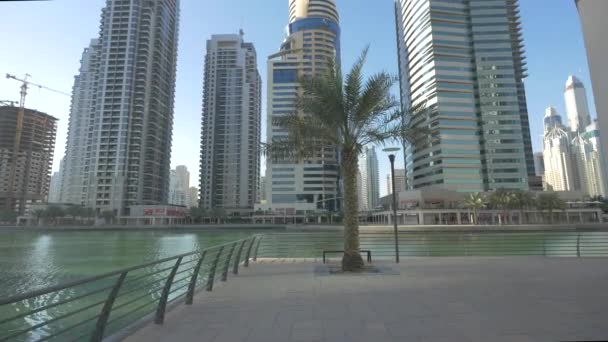 Orilla Del Lago Jumeirah Lakes Towers Área — Vídeo de stock