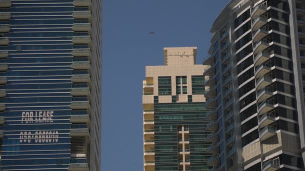 Vue Parapente Dubaï — Video