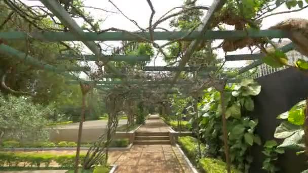 Pergola Der Weinbergallee Zentrum Von Kigali — Stockvideo