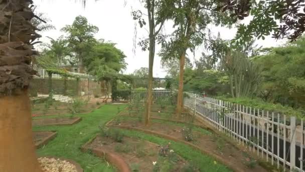 Rozentuin Het Kigali Memorial Centre — Stockvideo