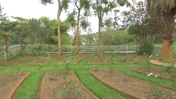 Rozentuin Het Kigali Memorial Centre — Stockvideo