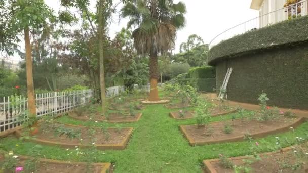 Jardín Rosas Conmemorativo Kigali Centre — Vídeo de stock