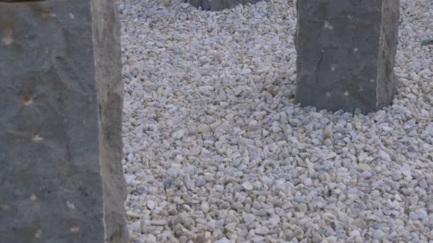 Αναμνηστικές Πέτρες Στο Μνημείο Kigali — Αρχείο Βίντεο