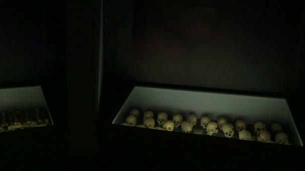Crânios Exibidos Memorial Kigali — Vídeo de Stock