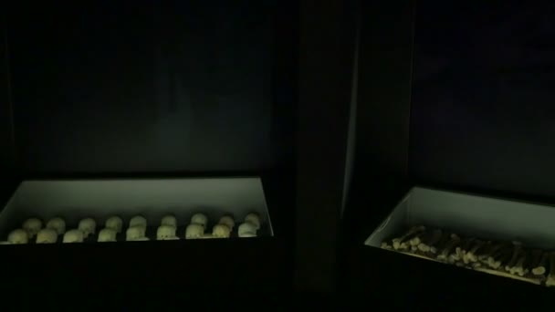 Kigali Memorial Con Huesos Cráneos — Vídeos de Stock