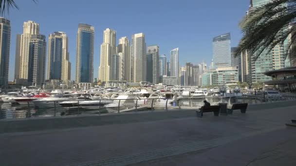 Дубайская Марина Видна Набережной — стоковое видео