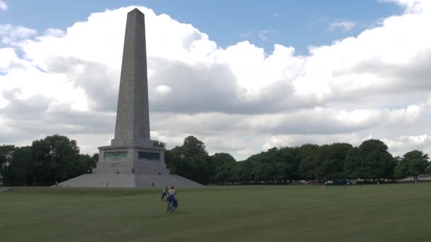 Wellington Testimonial Dublin — Stock Video