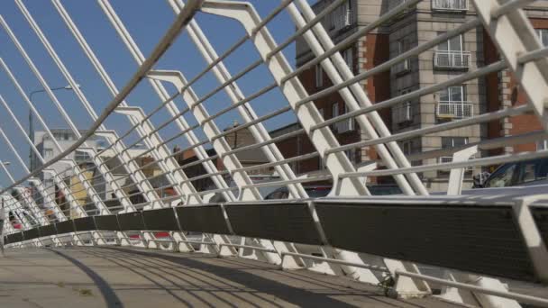 James Joyce Bridge Detalhe — Vídeo de Stock