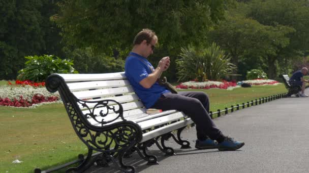 Homme Vérifie Son Téléphone Dans Parc — Video