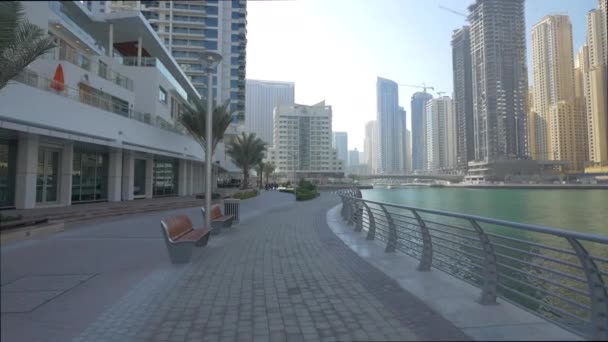 Узбережжя Дубая Марини Лавами Пальмами — стокове відео