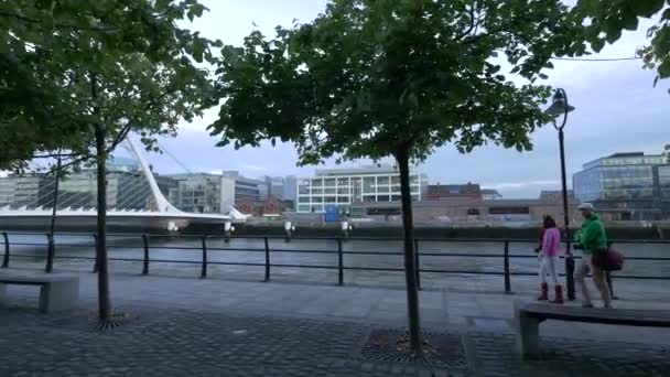 Edificios Puente Visto Desde Muelle — Vídeos de Stock