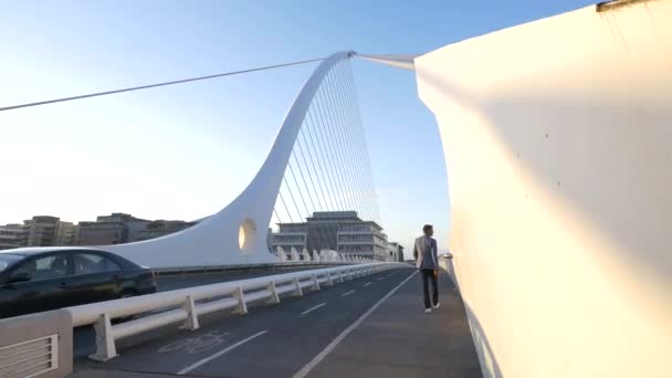 Vista Del Puente Samuel Beckett — Vídeo de stock