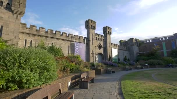 Dublin Castle Gardens Uitzicht — Stockvideo