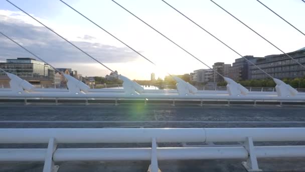 Güneş Işığı Bir Köprünün Kablolarından Görünür — Stok video